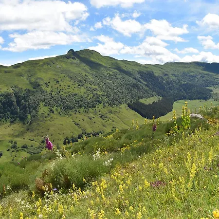 Buron De Cachebroche Proche Puy Mary Casa de Férias *